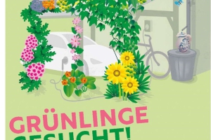 Gruenlinge 1